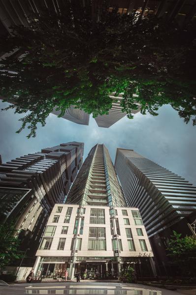 City Life