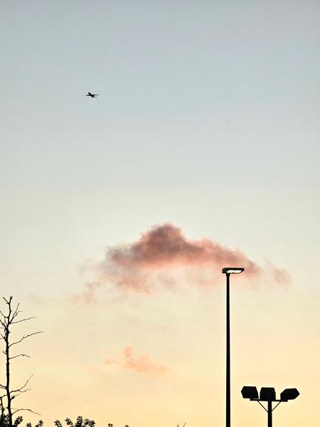 RemasterDirector_1a5c03258